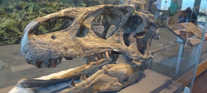 Kuprinėjimas JAV įkvėpė iš naujo – Dinosaur national monument parkas Kuprinėjimas JAV įkvėpė iš naujo – Dinosaur national monument parkas